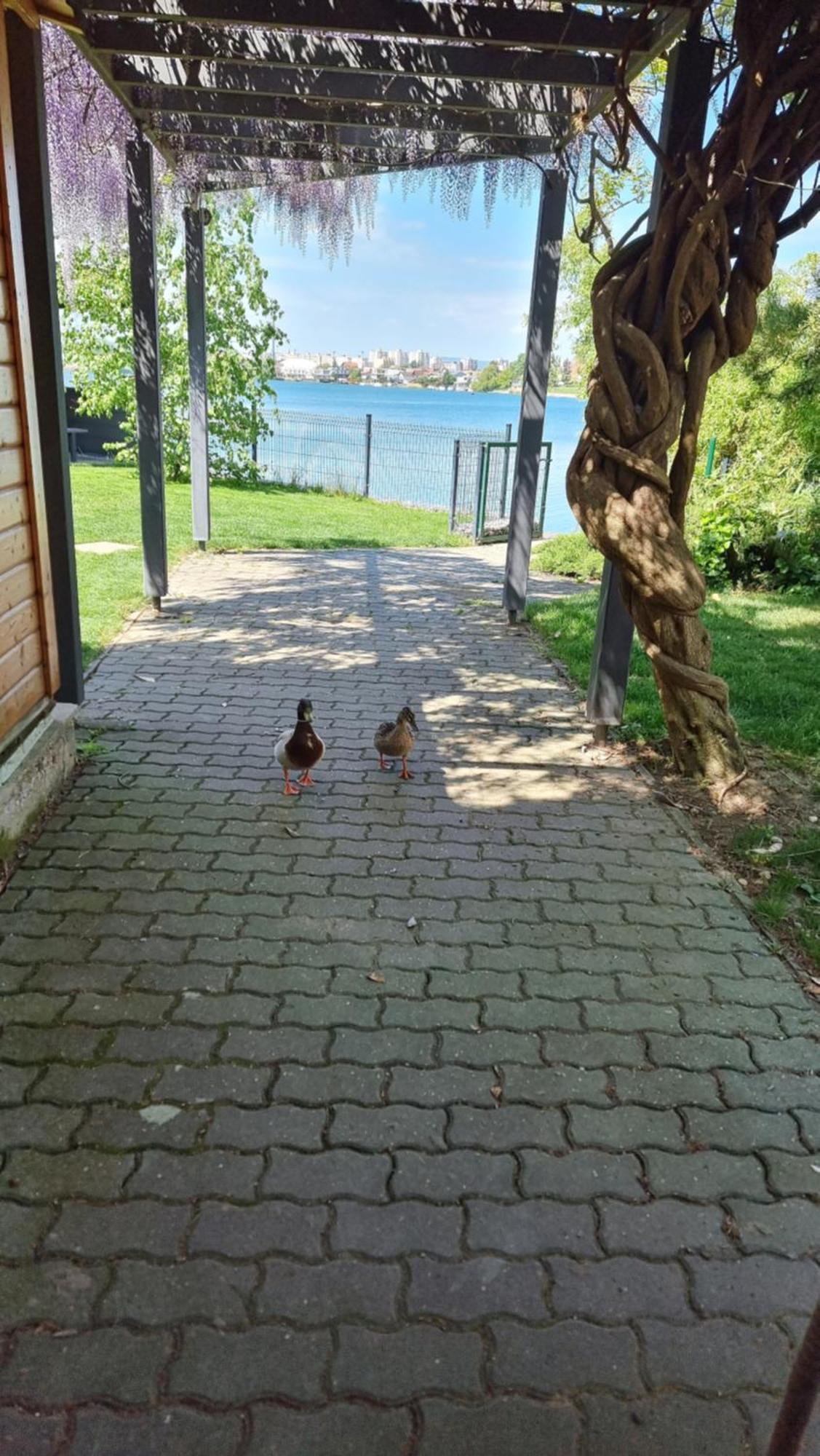 Topsenec-Lakeside Home Екстериор снимка